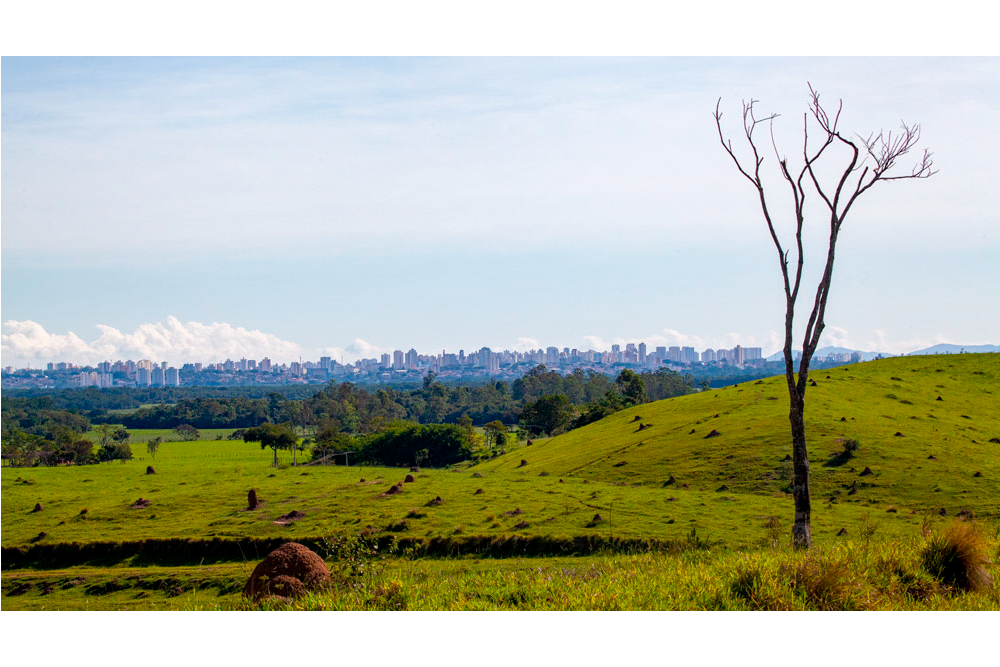 Vargem Grande e SJCampos